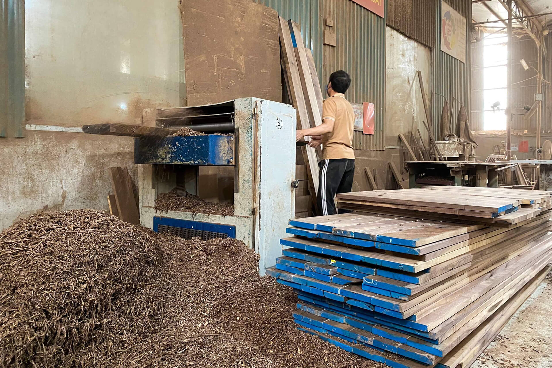 Nguyên liệu gỗ thô tại xưởng sản xuất nội thất gỗ óc chó